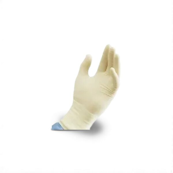 Latex - Food Safe Gloves 1000/case